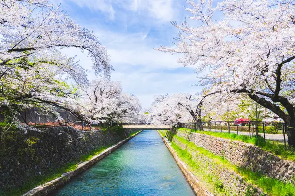 KOYO / ぐんまノート background