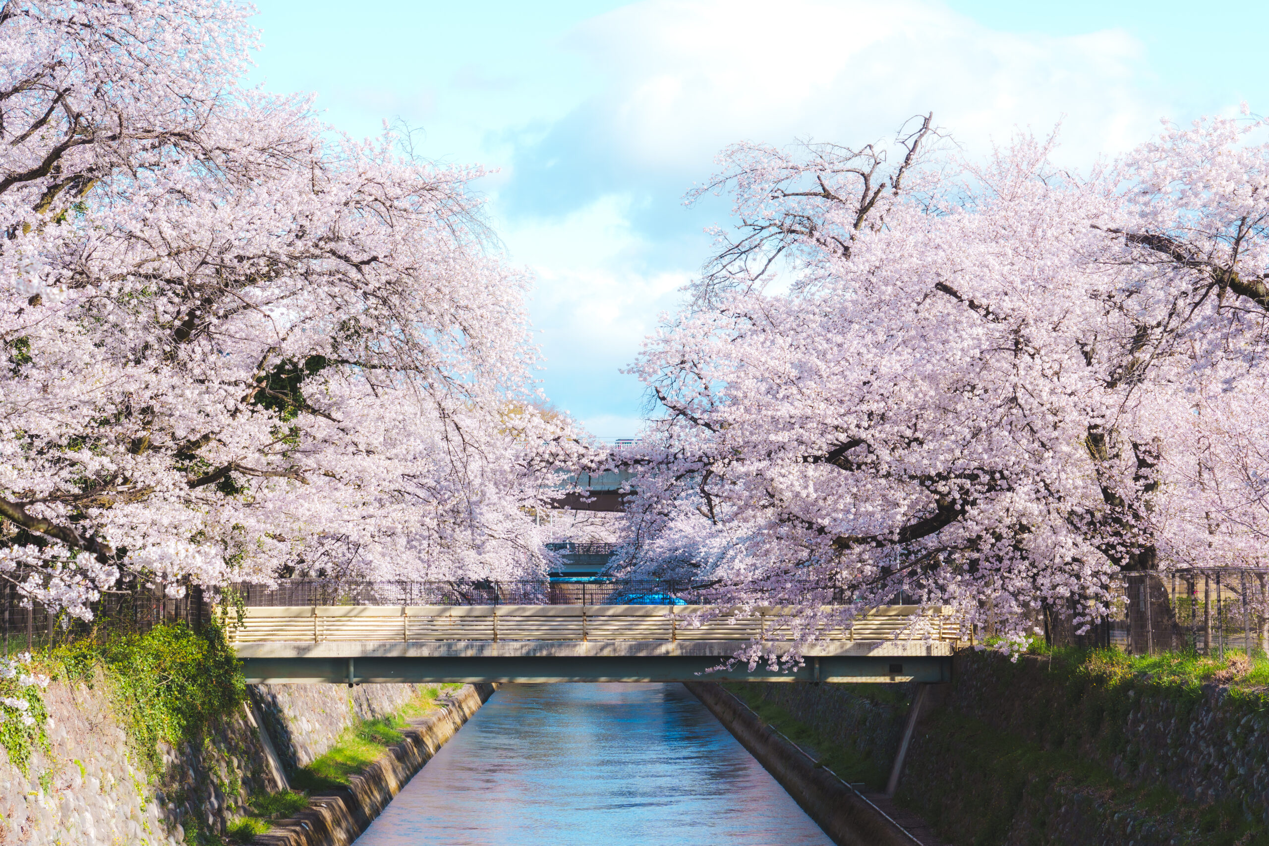 楽歩堂前橋公園