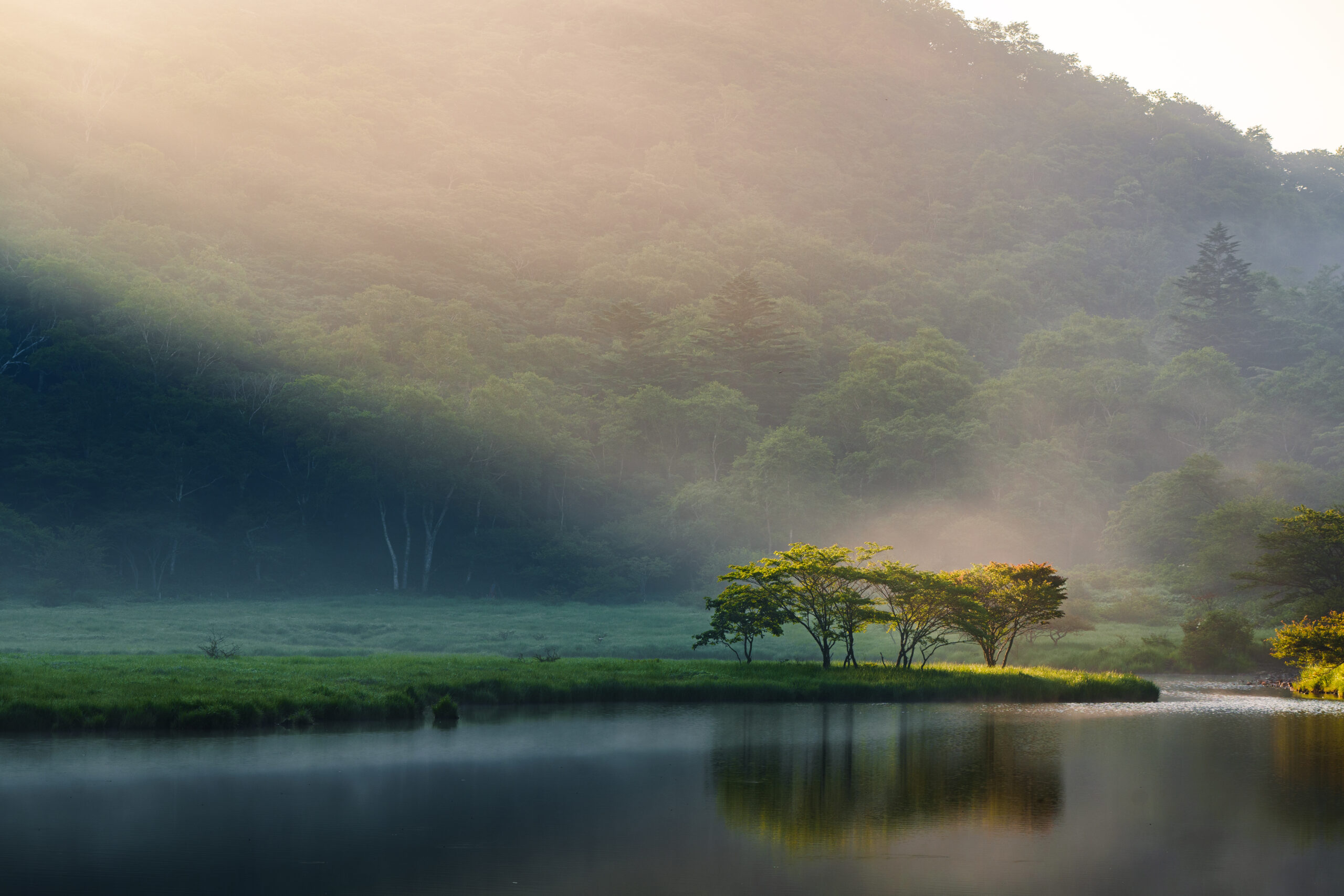 覚満淵