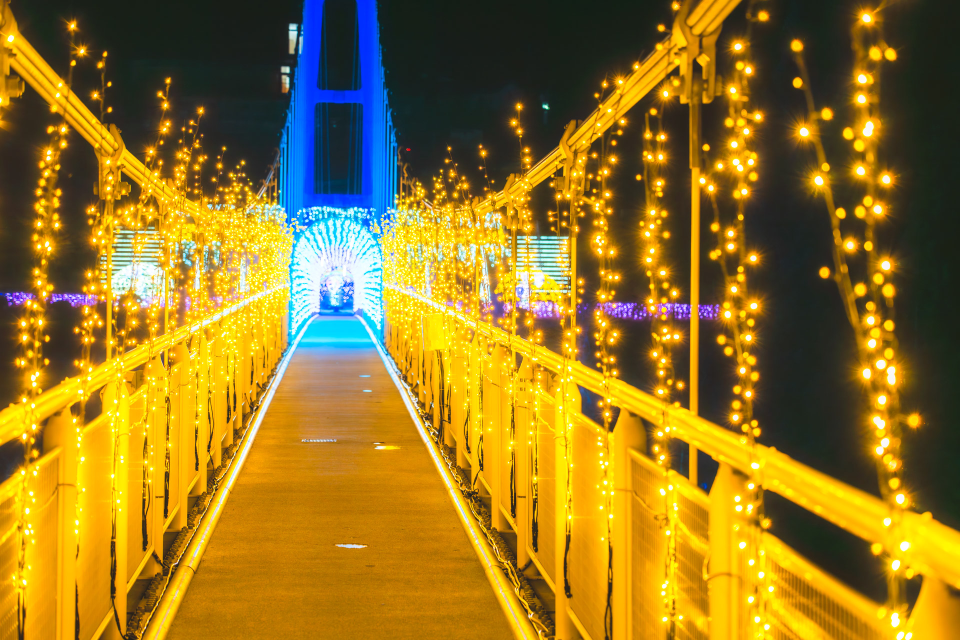 上野スカイブリッジのイルミネーション