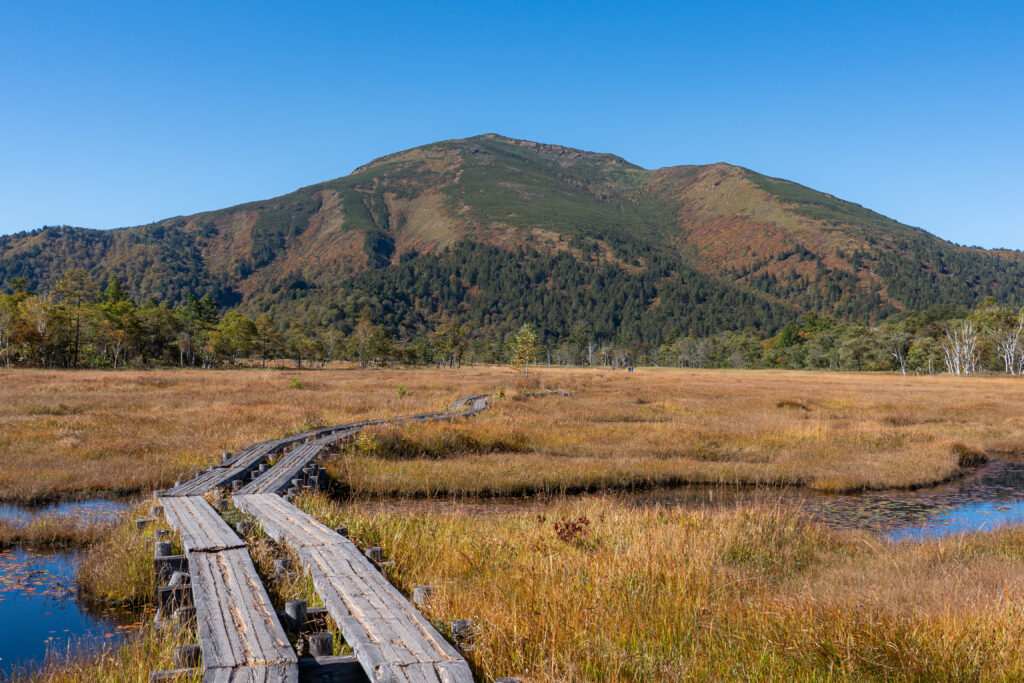 秋の尾瀬
