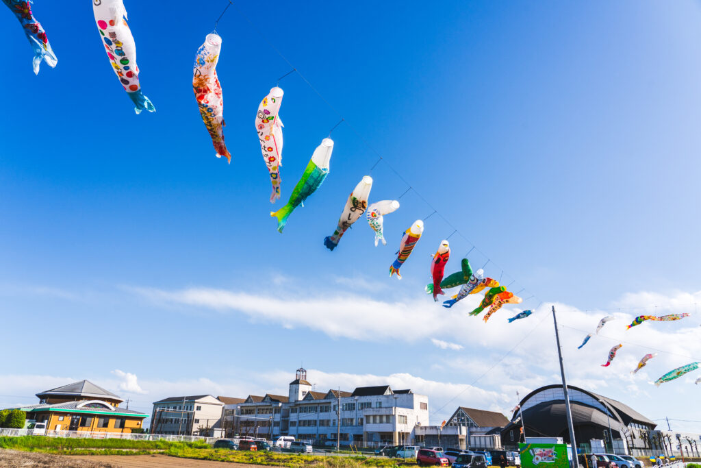 粕川の鯉のぼり