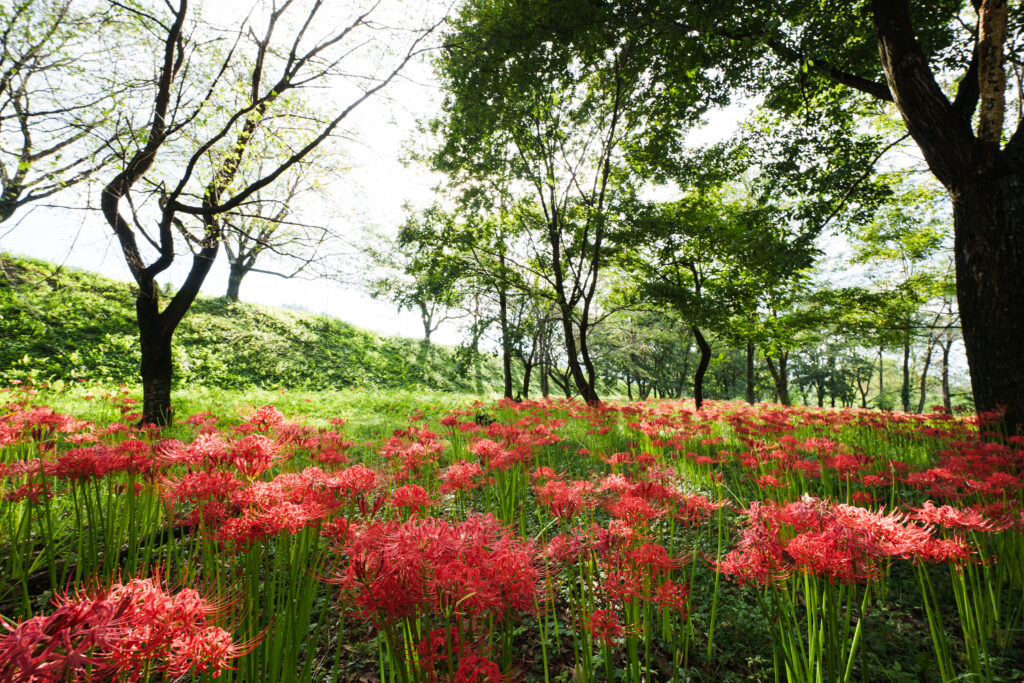 岩井親水公園