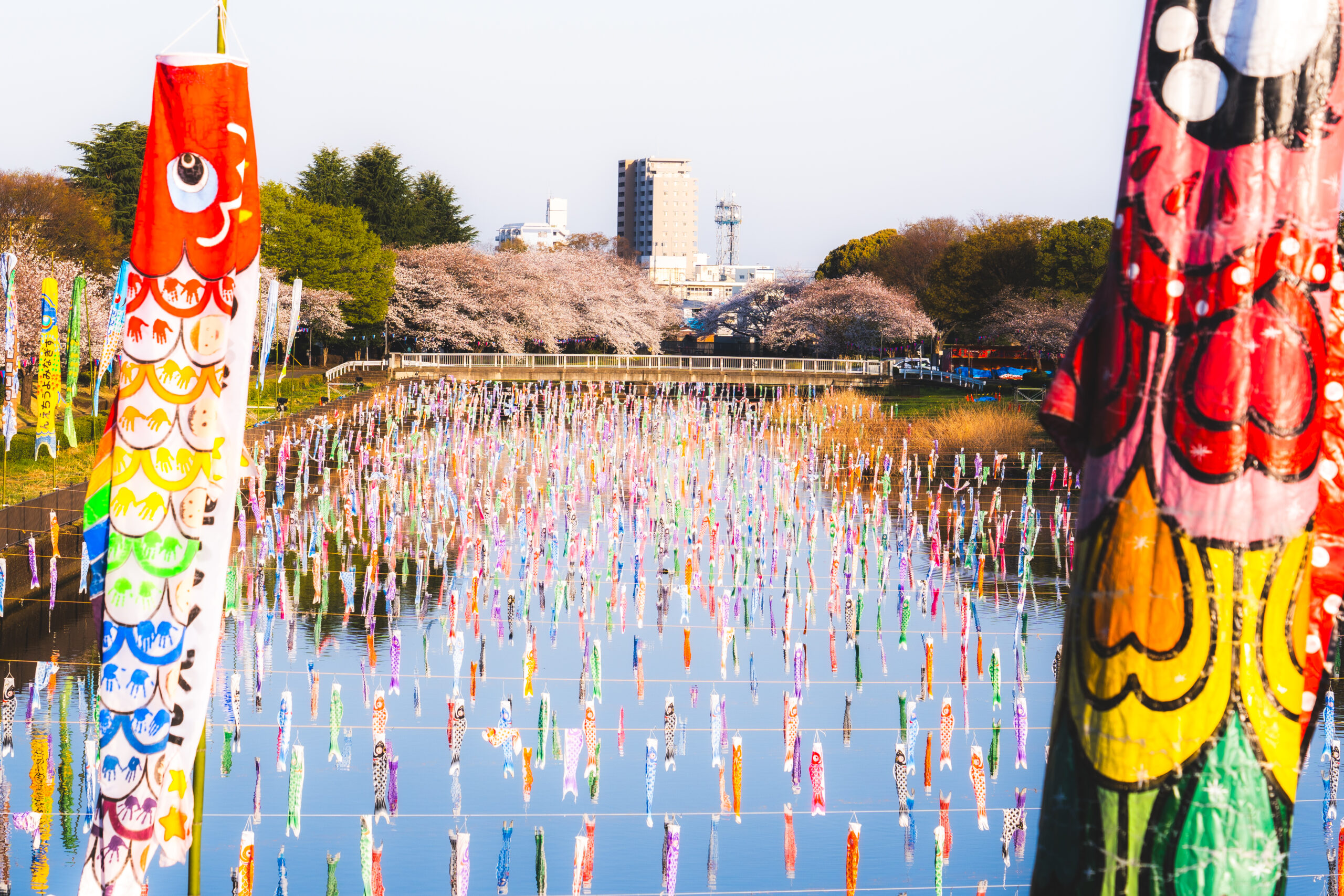 鶴井田川