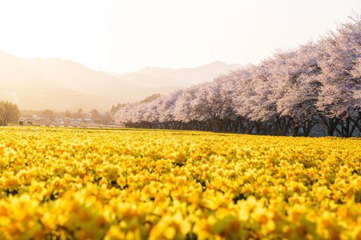 岩井親水公園