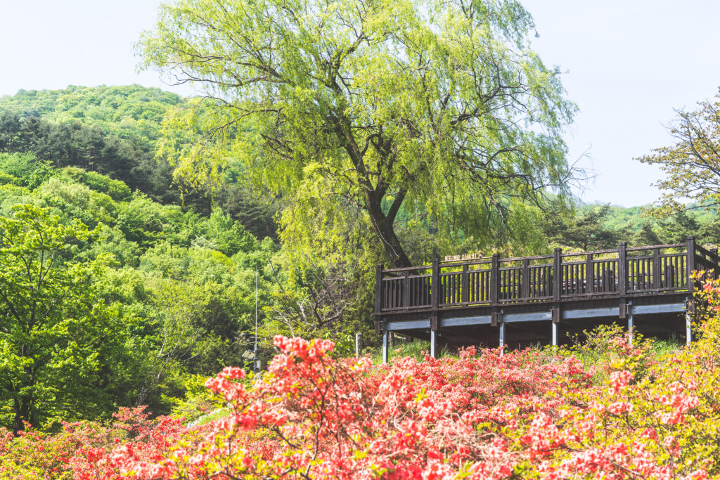 長峰公園