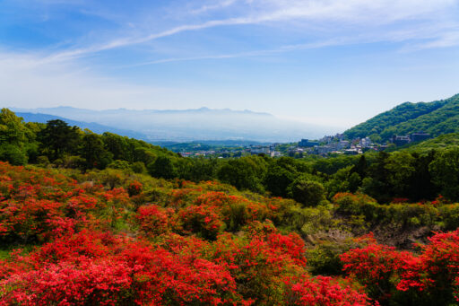 長峰公園