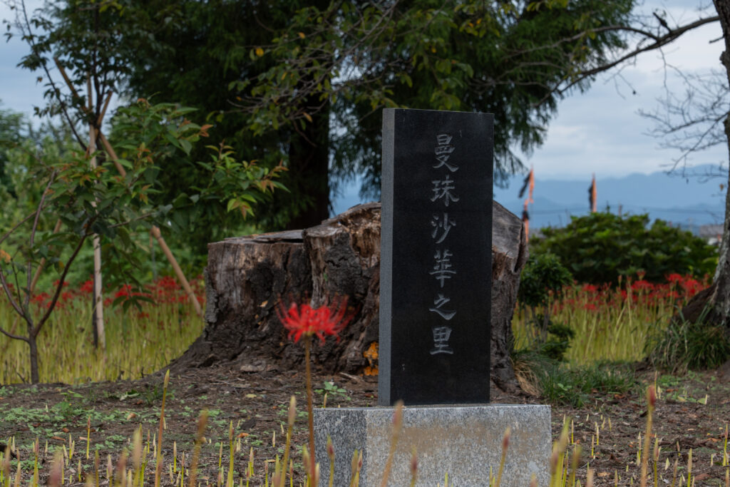 恩林寺