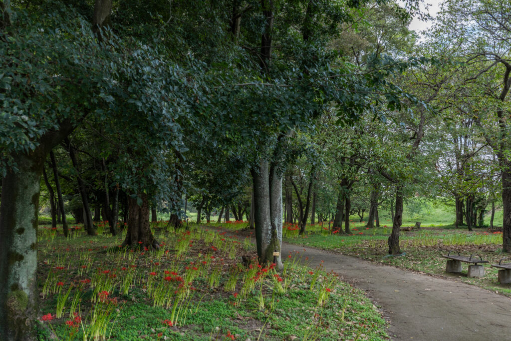岩倉自然公園