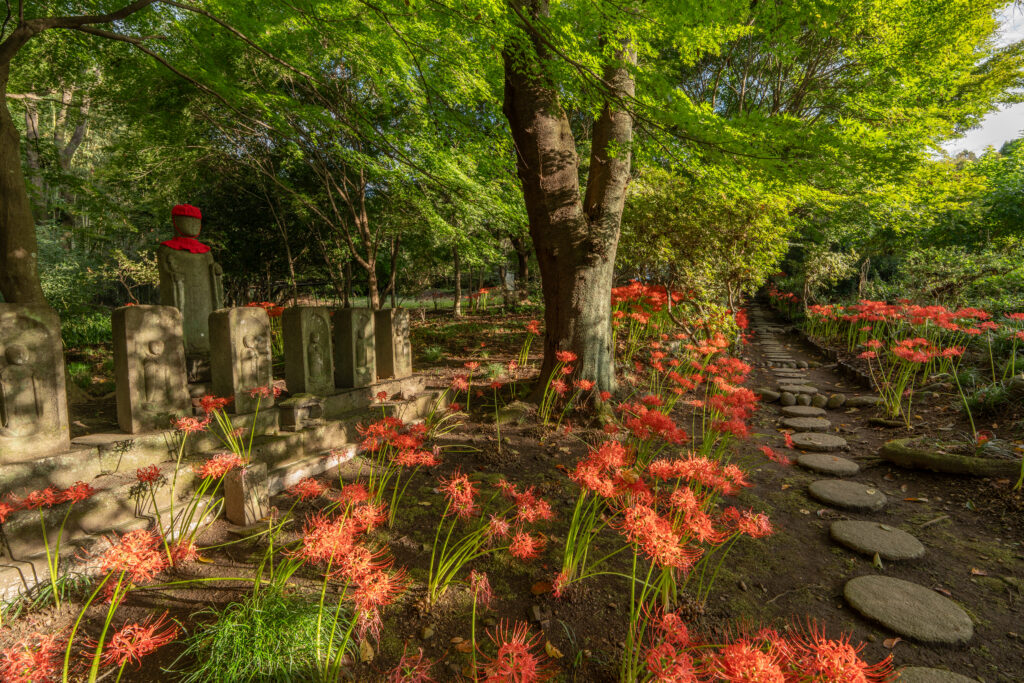 雲門寺