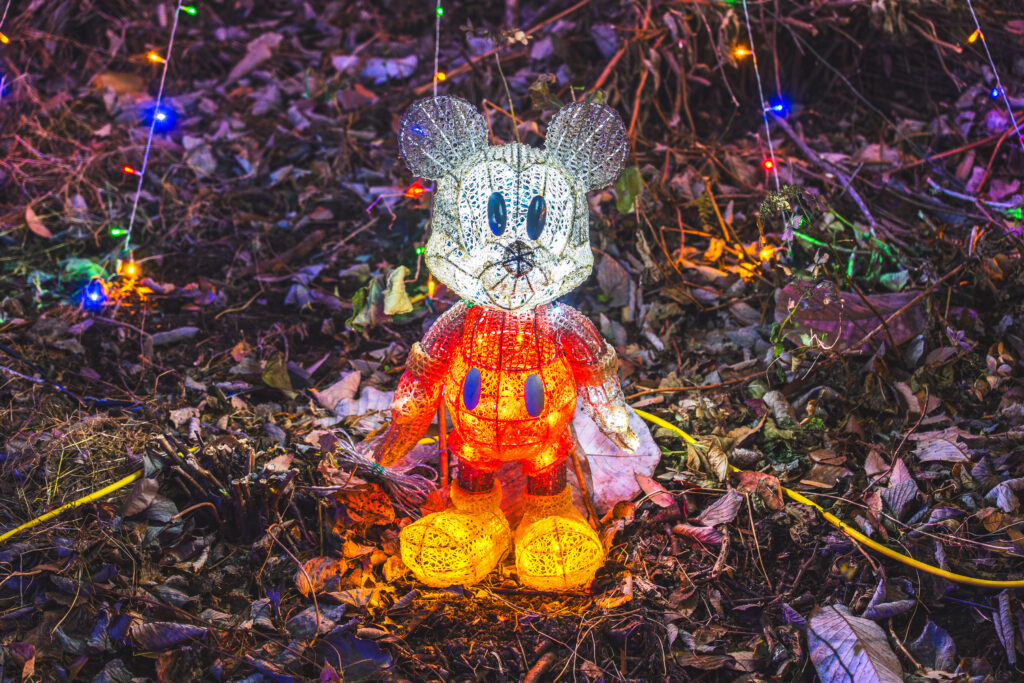 妙義山 天空のイルミネーション