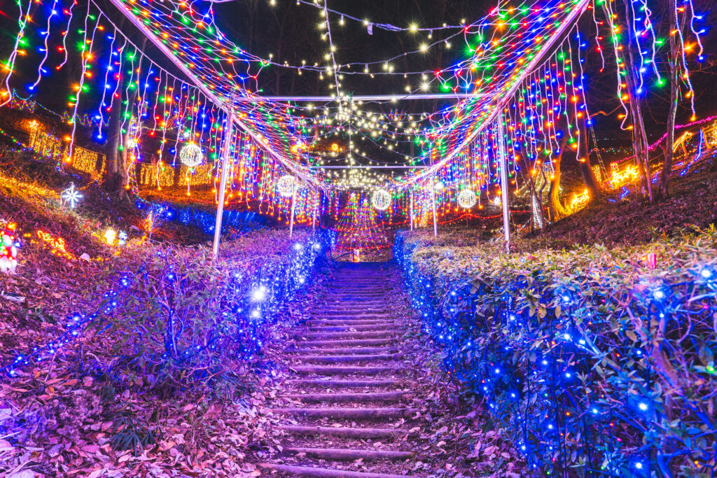 妙義山 天空のイルミネーション