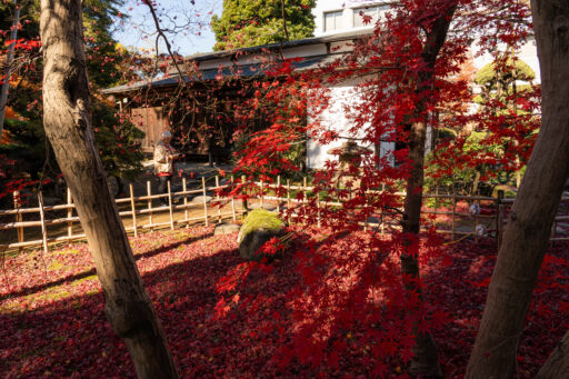 旧下田邸書院及び庭園