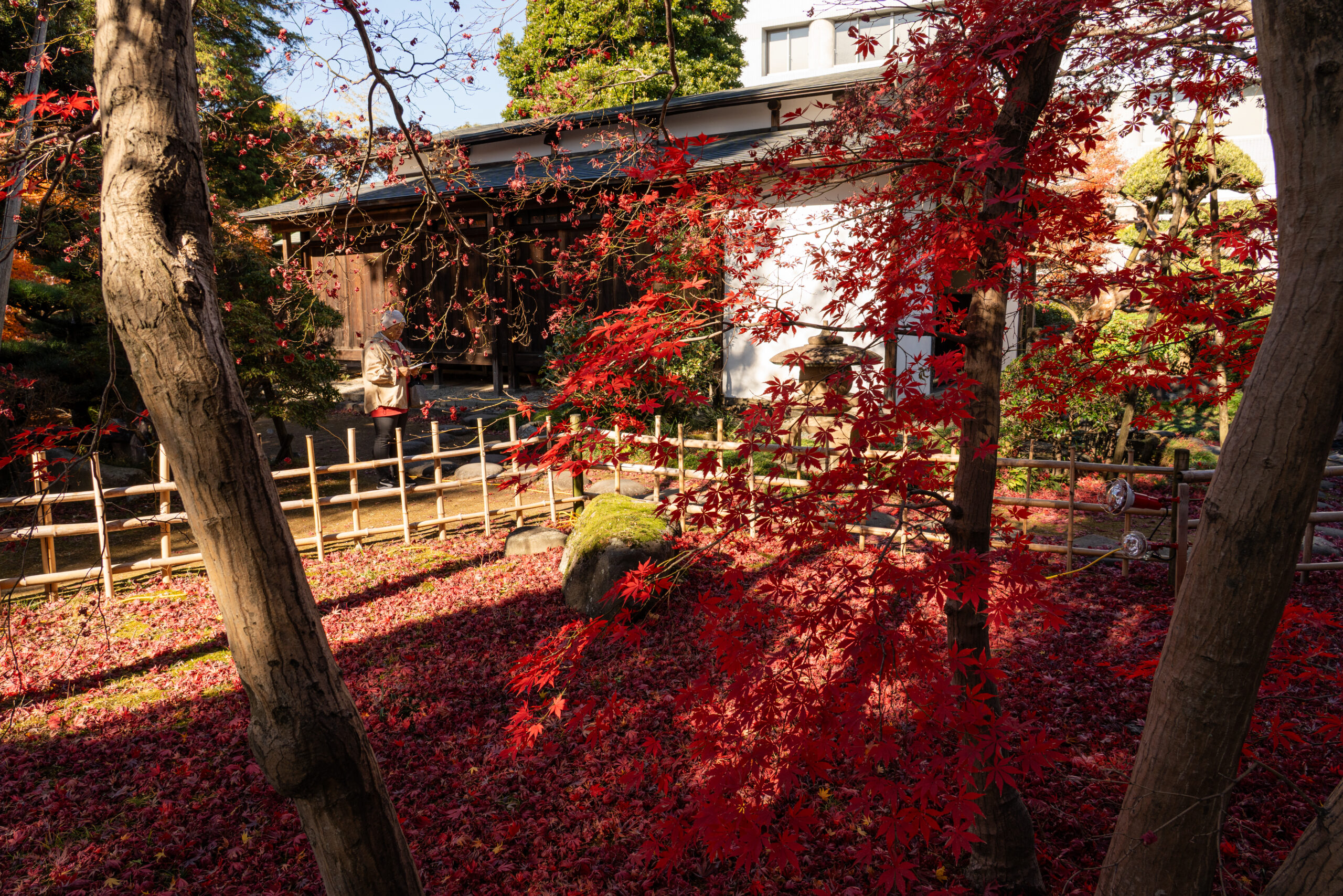 旧下田邸書院及び庭園