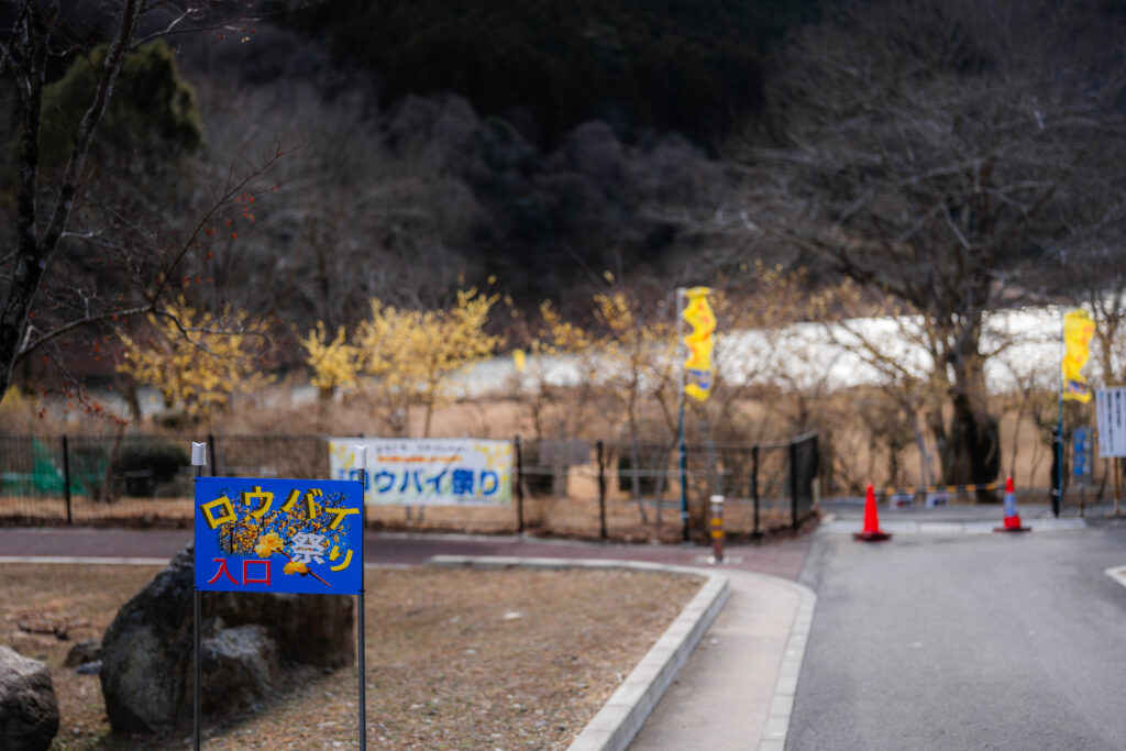 梅田ロウバイパーク