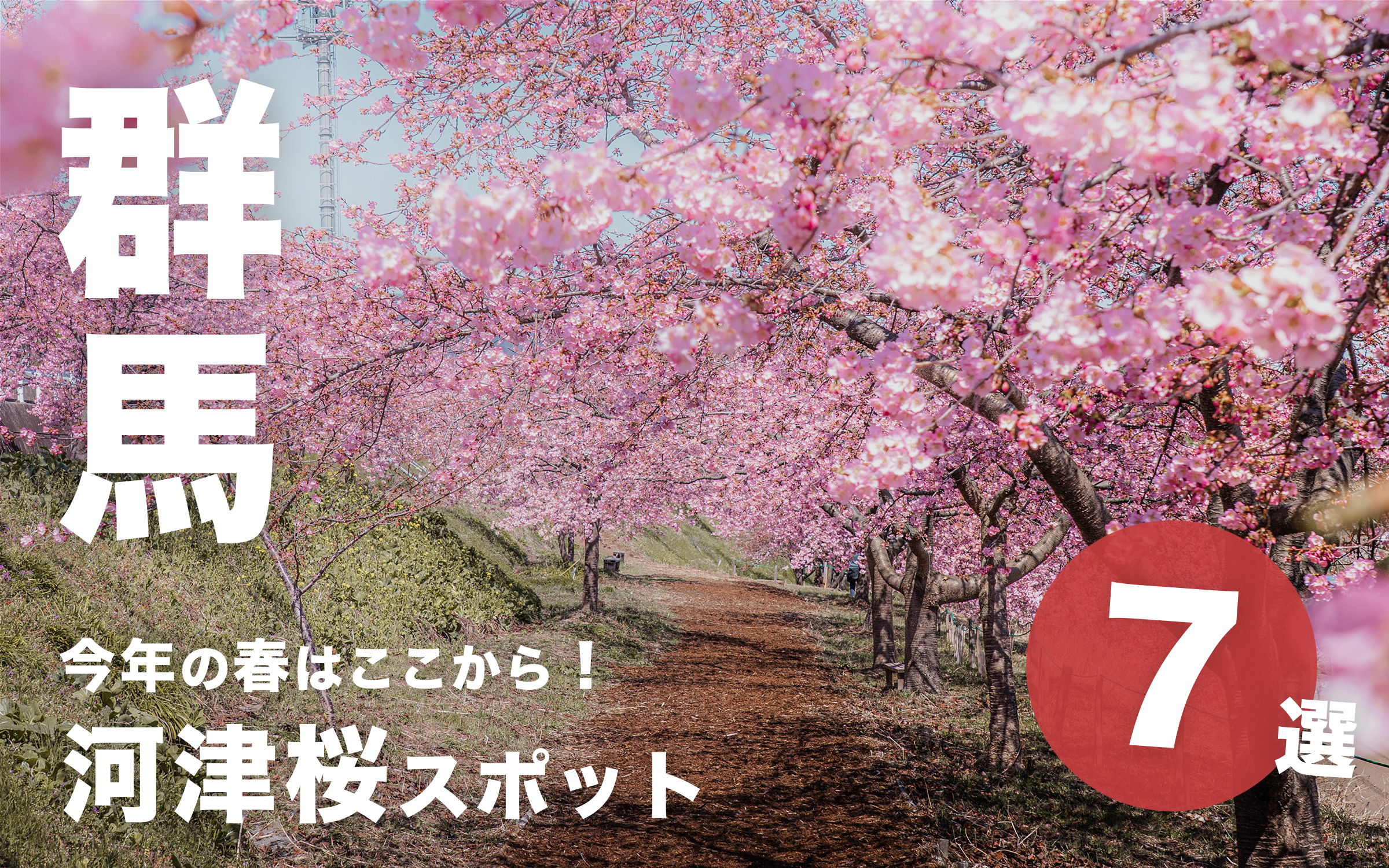 今年の春はここから！群馬の河津桜スポット7選