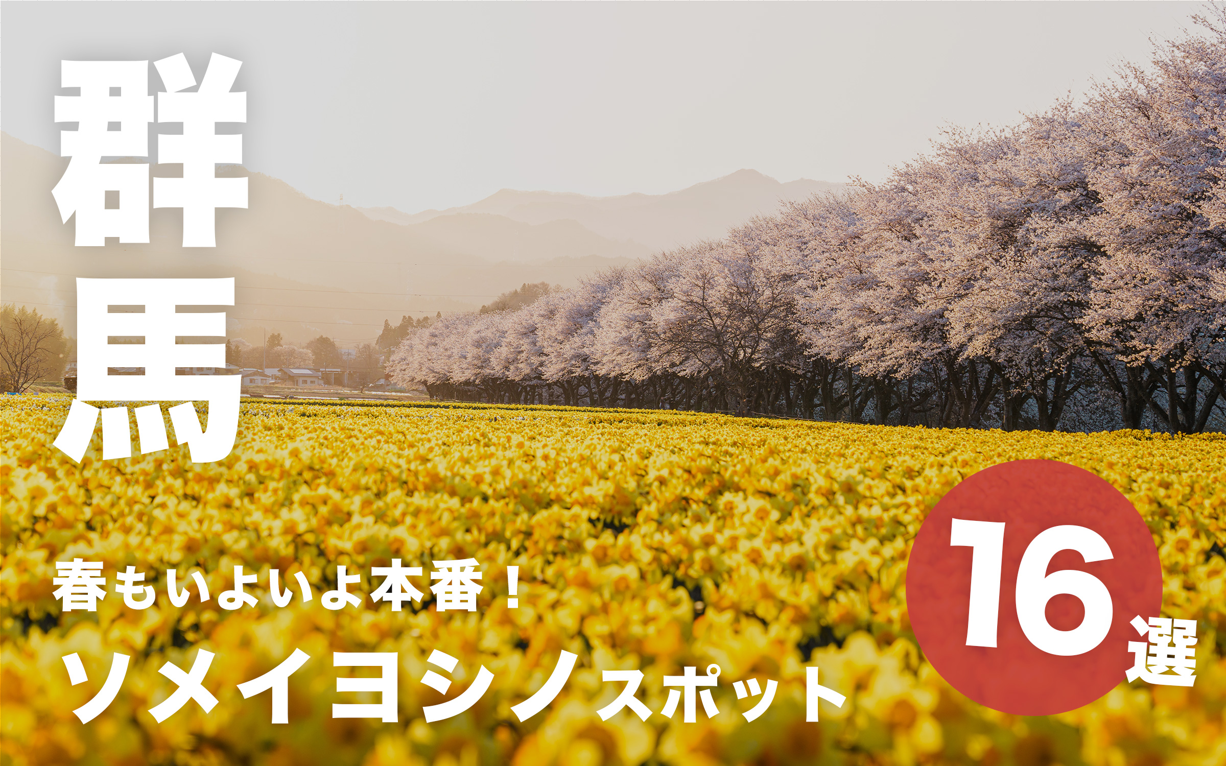 春もいよいよ本番！群馬のソメイヨシノスポット16選